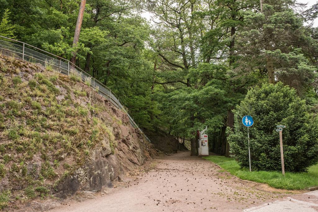 Loftwohnung Mit Sauna - Natur Und Kultur In Eisenach Erleben Und Geniessen Экстерьер фото